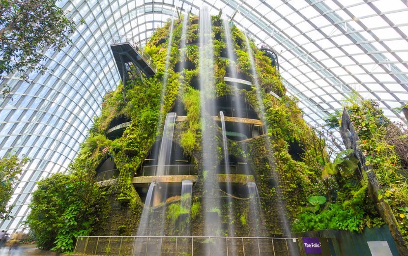 Cloud Forest